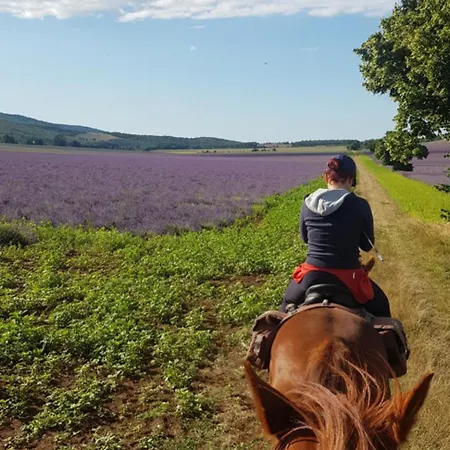 Entre Ventoux Et Luberon D'hote Sault