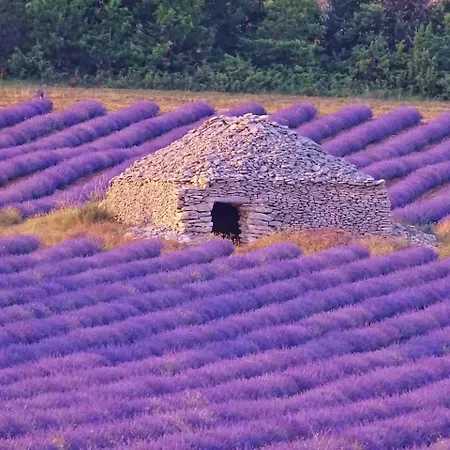 Pensión Entre Ventoux Et Luberon D'hote Sault